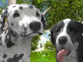 Jogo Simulador de Cães 3D online