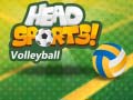 Jogo Voleibol Head Sports online