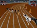 Jogo Febre de Corrida de Cães Loucos online