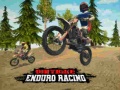 Jogo Corrida de Enduro de Moto de Terra online