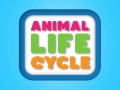 Jogo Ciclo de vida dos animais online