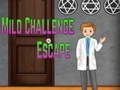 Jogo Escape do Desafio Leve Amgel online