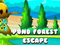 Jogo Escape da Floresta do Lago online