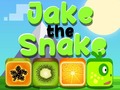 Jogo Jake a Cobra online