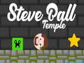 Jogo Templo de Steve Ball online