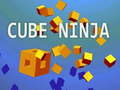 Jogo Ninja do Cubo online