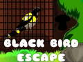 Jogo Escape do Pássaro Preto online