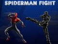 Jogo Luta do Homem-Aranha online