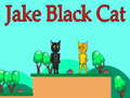 Jogo Jake Gato Preto online