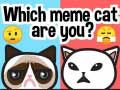 Jogo Qual gato meme você é? online