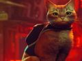 Jogo Desgarrado online