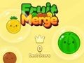Jogo Mescla de Frutas online