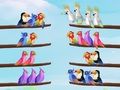 Jogo Puzzle de Classificação de Pássaros online