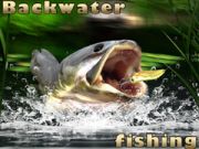 Jogo Pesca em águas paradas online