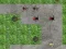 Jogo Defesa da Torre Aranha online