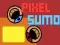 Jogo Sumô Pixel online