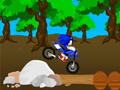 Jogo Corrida Sonic Cruzada online