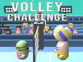 Jogo Desafio de Voleibol online