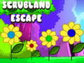 Jogo Fuga do Cerrado online