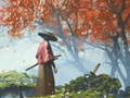 Jogo Reflexão Samurai online