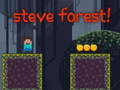 Jogo Floresta do Steve online
