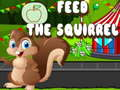 Jogo Alimente o esquilo online