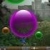 Bolhas  online