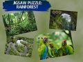 Jogo Quebra-Cabeça Floresta Tropical online