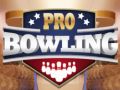 Jogo Boliche Profissional online
