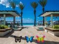Jogo Encontre 100 borboletas online