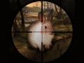 Jogo Caça Clássica ao Coelho Sniper 2019 online