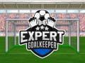 Jogo Goleiro Especialista online