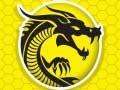 Jogo Fúria do Kung Fu online
