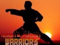 Jogo Karate Guerreiros do Pôr do Sol online