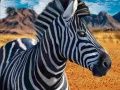 Jogo Caçador de Zebra online
