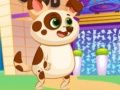 Jogo Cão Virtual Adorável online