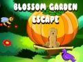 Jogo Escape do Jardim Florido online