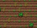 Jogo Fazedor de Chá online