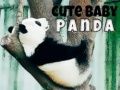 Jogo Fofo Bebê Panda online