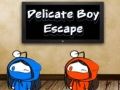Jogo Fuga do Menino Delicado online