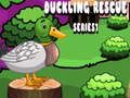 Jogo Resgate de Patinhos Série 1 online