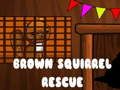 Jogo Resgate do Esquilo Marrom online