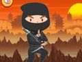 Jogo Quebra-cabeça de Ninja Treinado online