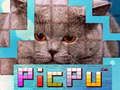 Jogo PicPu Gato online