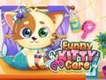 Jogo Cuidados Divertidos com Gatinhos online
