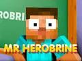 Jogo Sr. Herobrine online