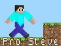 Jogo Pro Steve online
