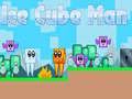 Jogo Homem Cubo de Gelo online