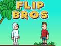Jogo Irmãos Flip online