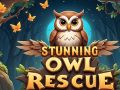 Jogo Resgate Impressionante de Corujas online